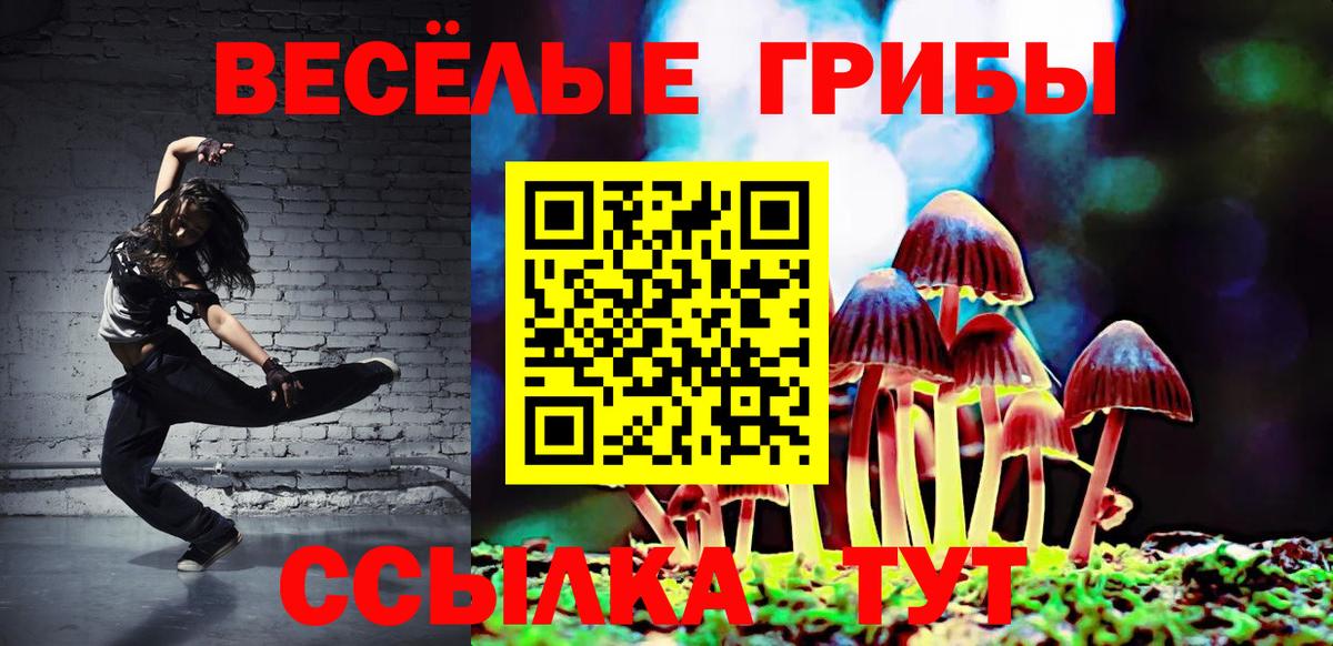 дарнет шоп  Галлюциногенные грибы Psilocybine cubensis  Вход с VPN  Среднеуральск 
